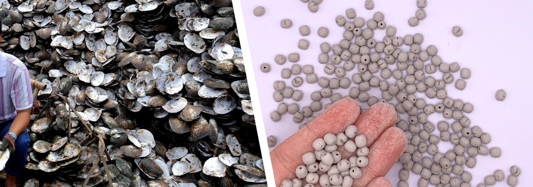 Warum wir vegane Perlen statt Zuchtperlen wählen 🌊